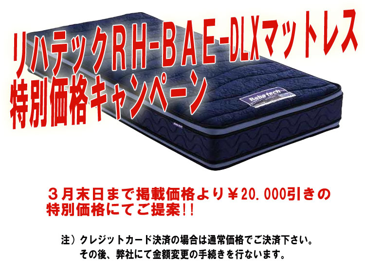 フランスベッド Rh Bae Dlx リハテックブレスエアーエクストラデラックス